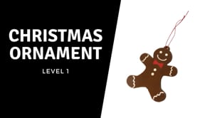 Christmas Ornament.mp4