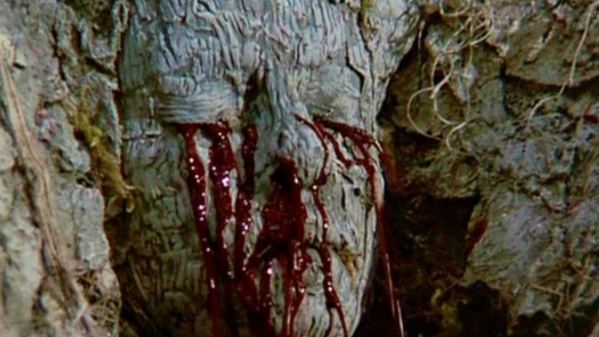 A Árvore da Maldição (1990) - Filme de Terror Completo Dublado