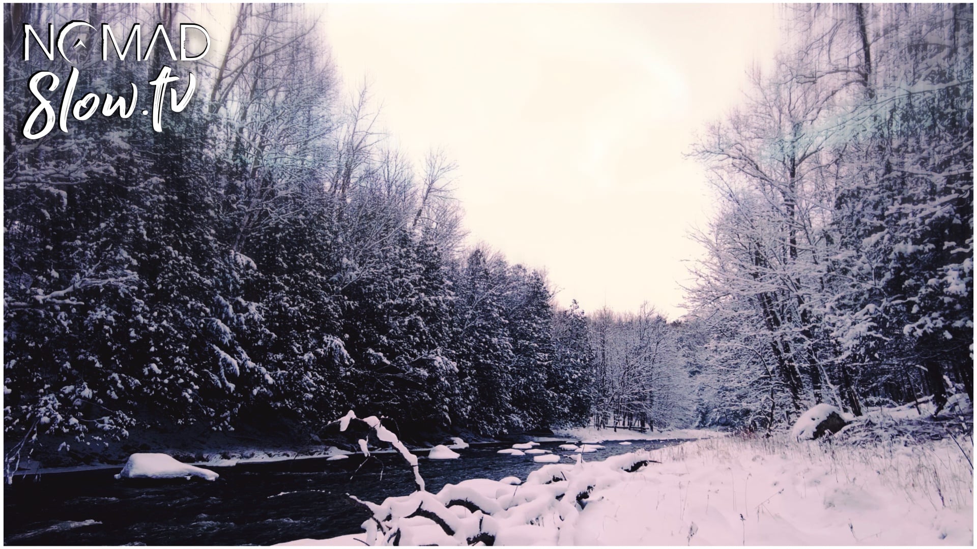 Backyard Winter Walk to Tomifobia - AliX & Charlotte Dec 2022.mp4