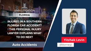 Levin Litigation Video Thumbnail