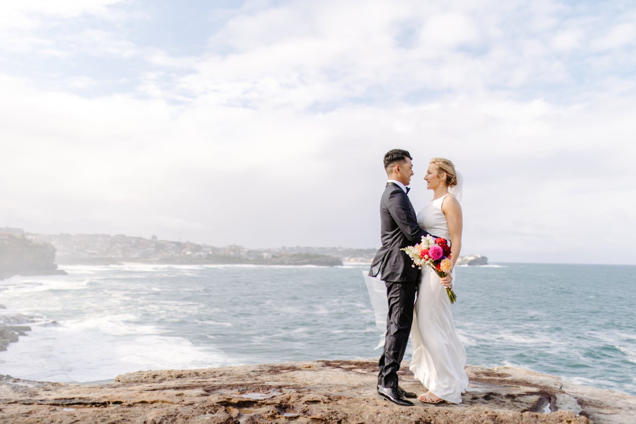 Indian Hindu Wedding Video, Sydney - Anish and Nicola