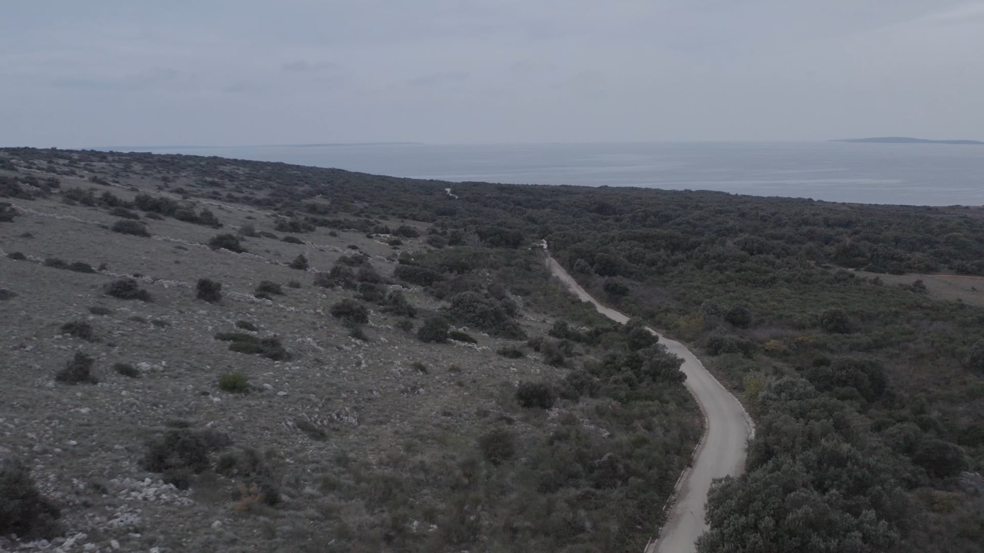 Road through forest near the sea