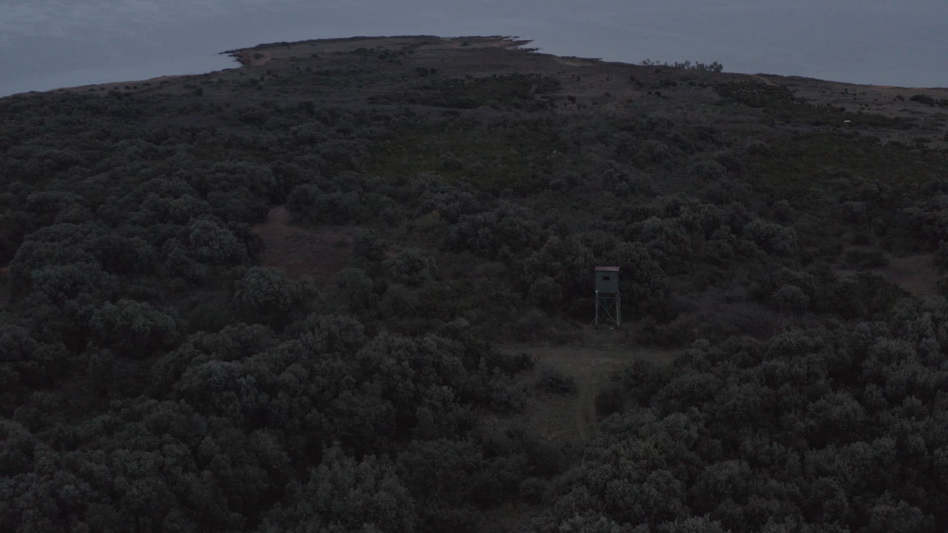 Raised hide in the forest near the sea
