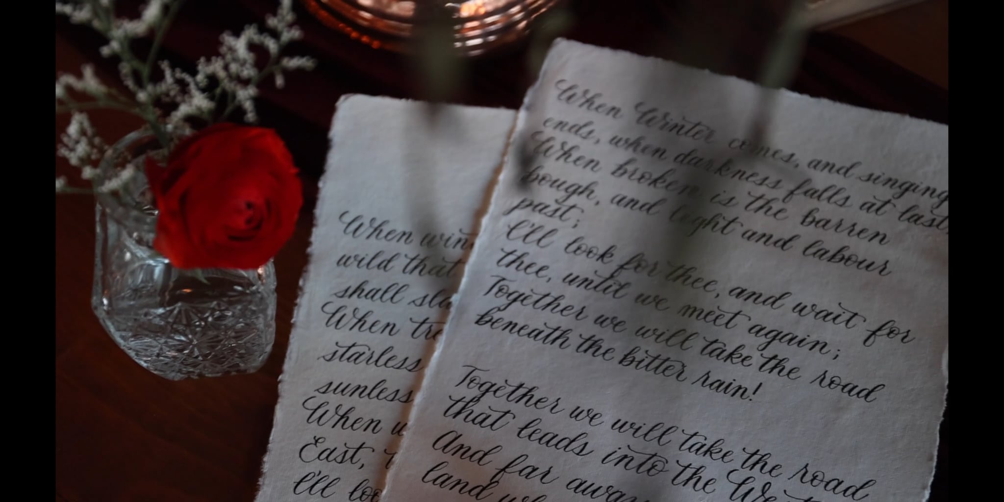 Chelsea & Shane Teaser