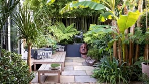 Philip Oostenbrink and The Jungle Garden - CC