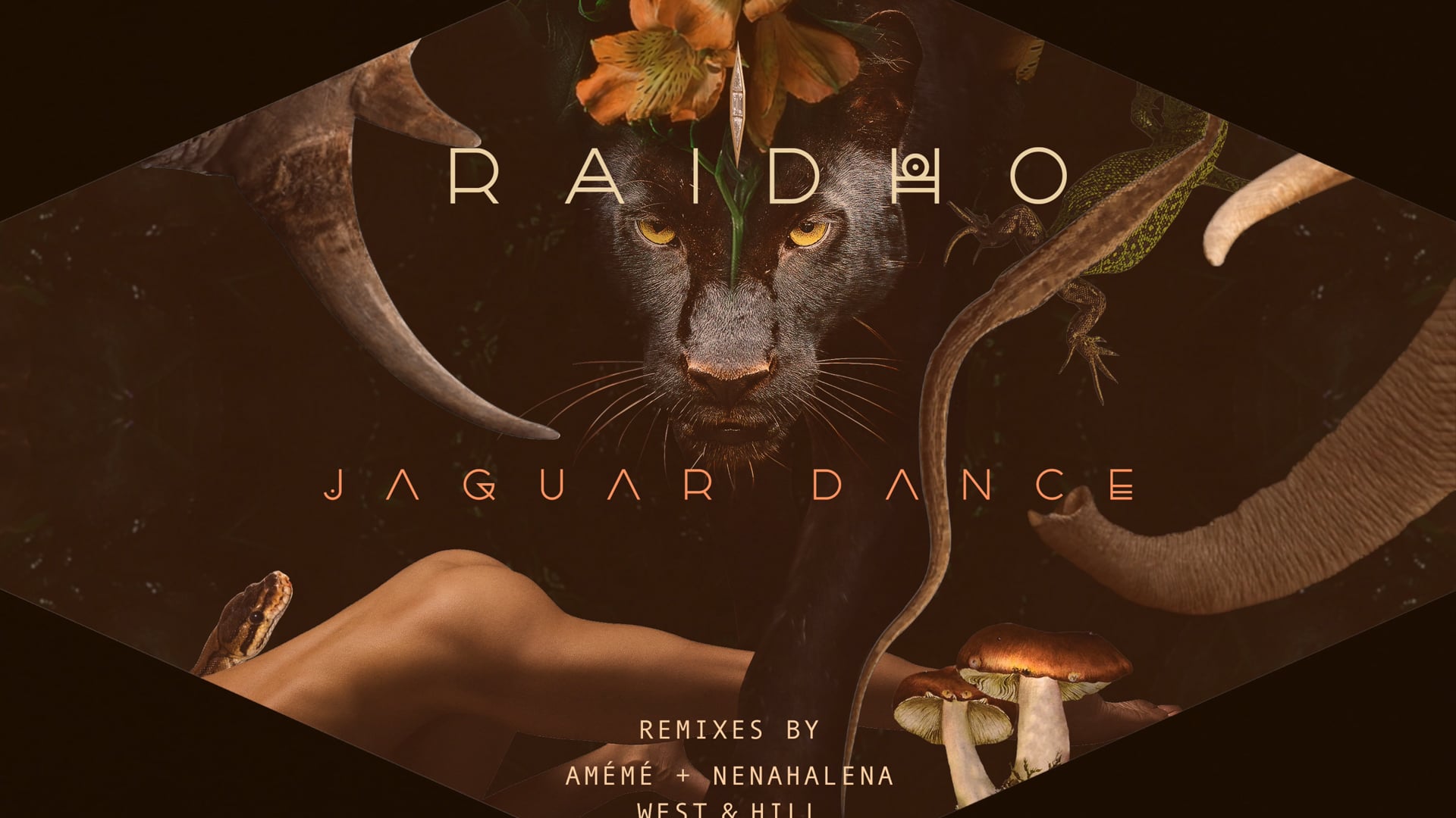 Sol Selectas - Album Art - Raidho