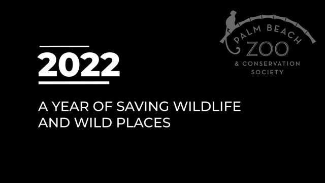 Saving Wildlife and Wild Places 