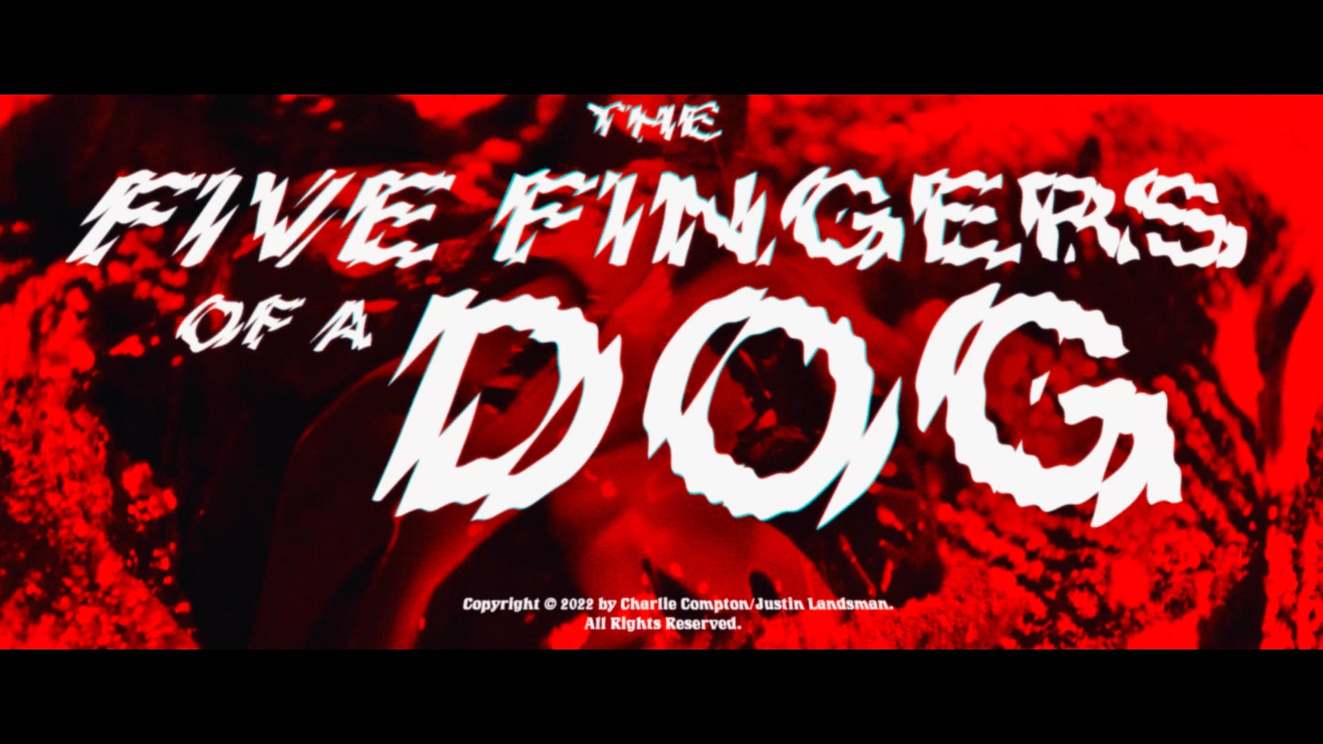 The Five Fingers of a Dog