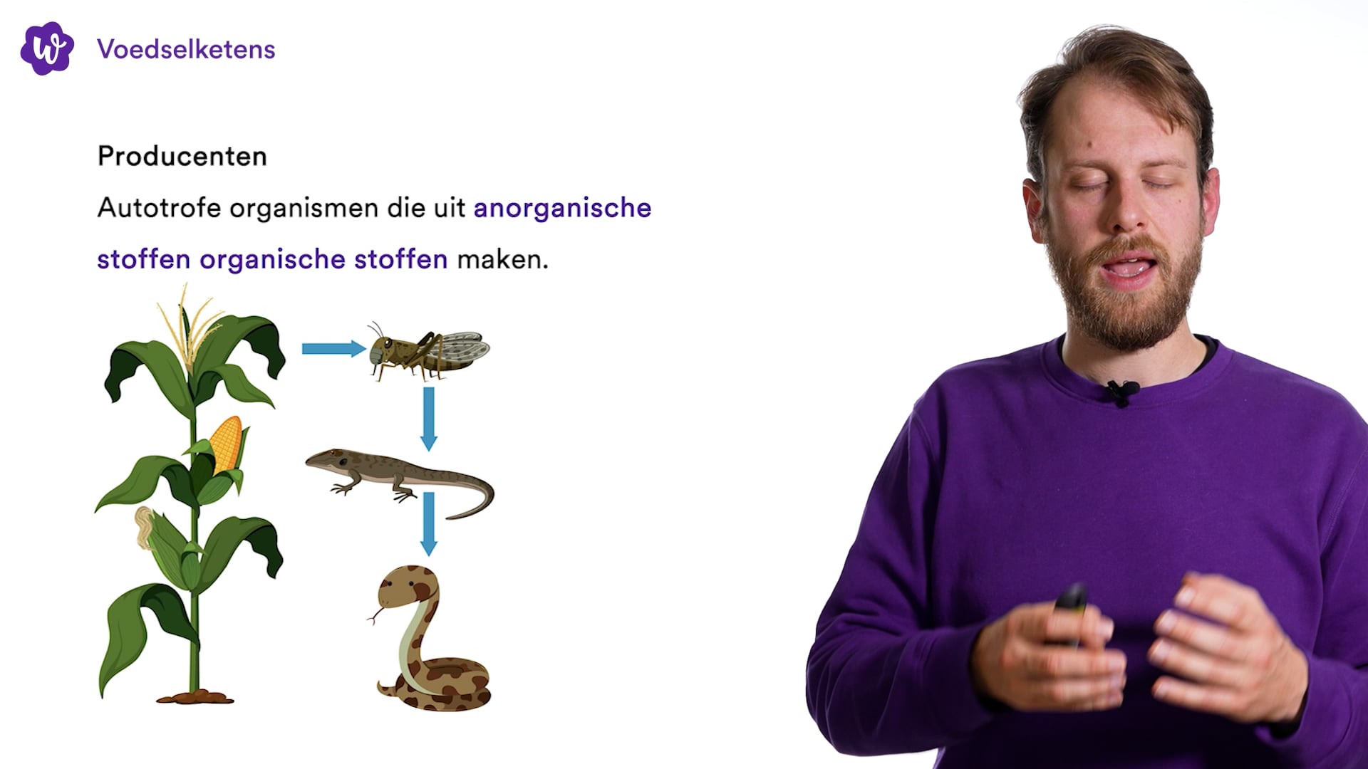 Voedselketens oefenen | StudyGo