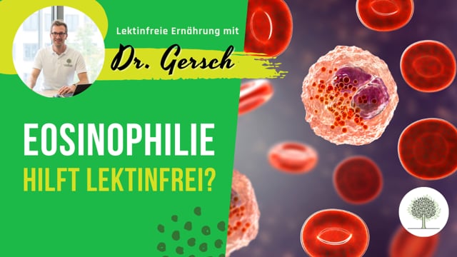 Kann sich eine Eosinophilie durch lektinfreie Ernährung bessern? 