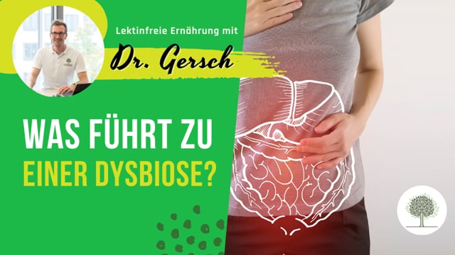 Die häufigsten Ursachen einer gestörten Darmflora (Dysbiose)