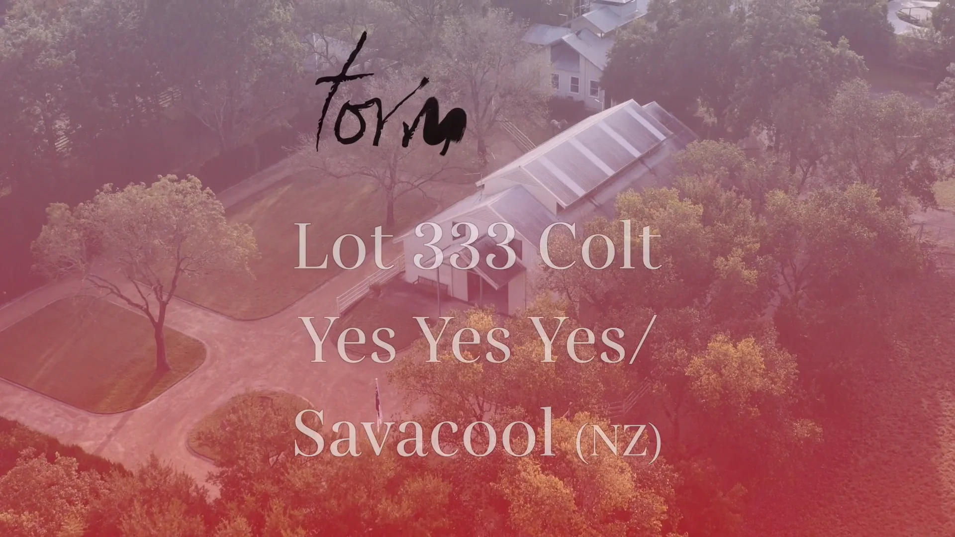 lot_333_yes_yes_yes_x_savacool_(nz) (1080p)(1) on Vimeo