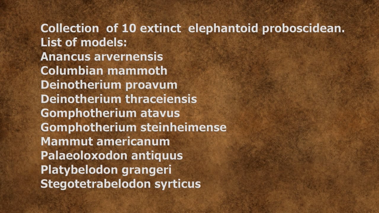 Collection of 10 Extinct Elephantoid Proboscidean (3Dprint) 3D Model on ...