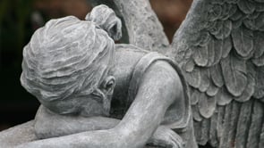Phobia = Statues