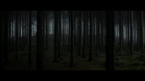 Schweigend steht der Wald - Trailer