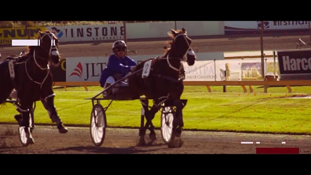 Box Seat – 2023 National Yearling Sale Edition