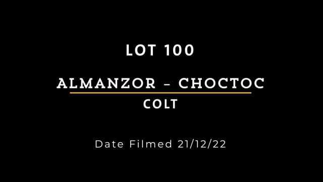 Lot 100