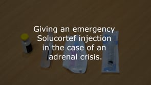 Demonstration of Solu-cortef emergency injection