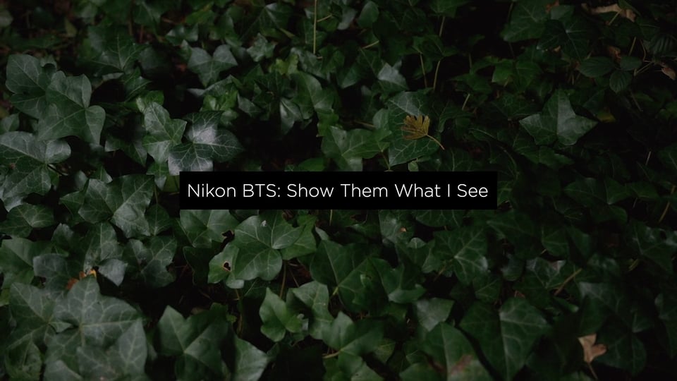 NIKON BTS: Show Them What I See