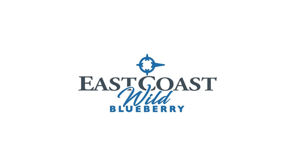 East Coast Wild Blueberry ver5.mp4