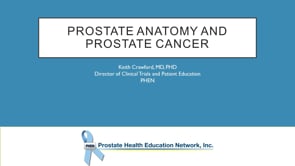 Prostate Anatomy and Prostate Cancer