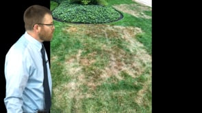 Case Studies: Identifying the Real Culprit in the Case of a Lawn Killer