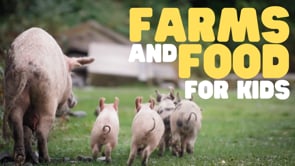 Vimeo Thumbnail