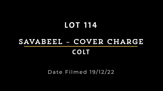 Lot 114