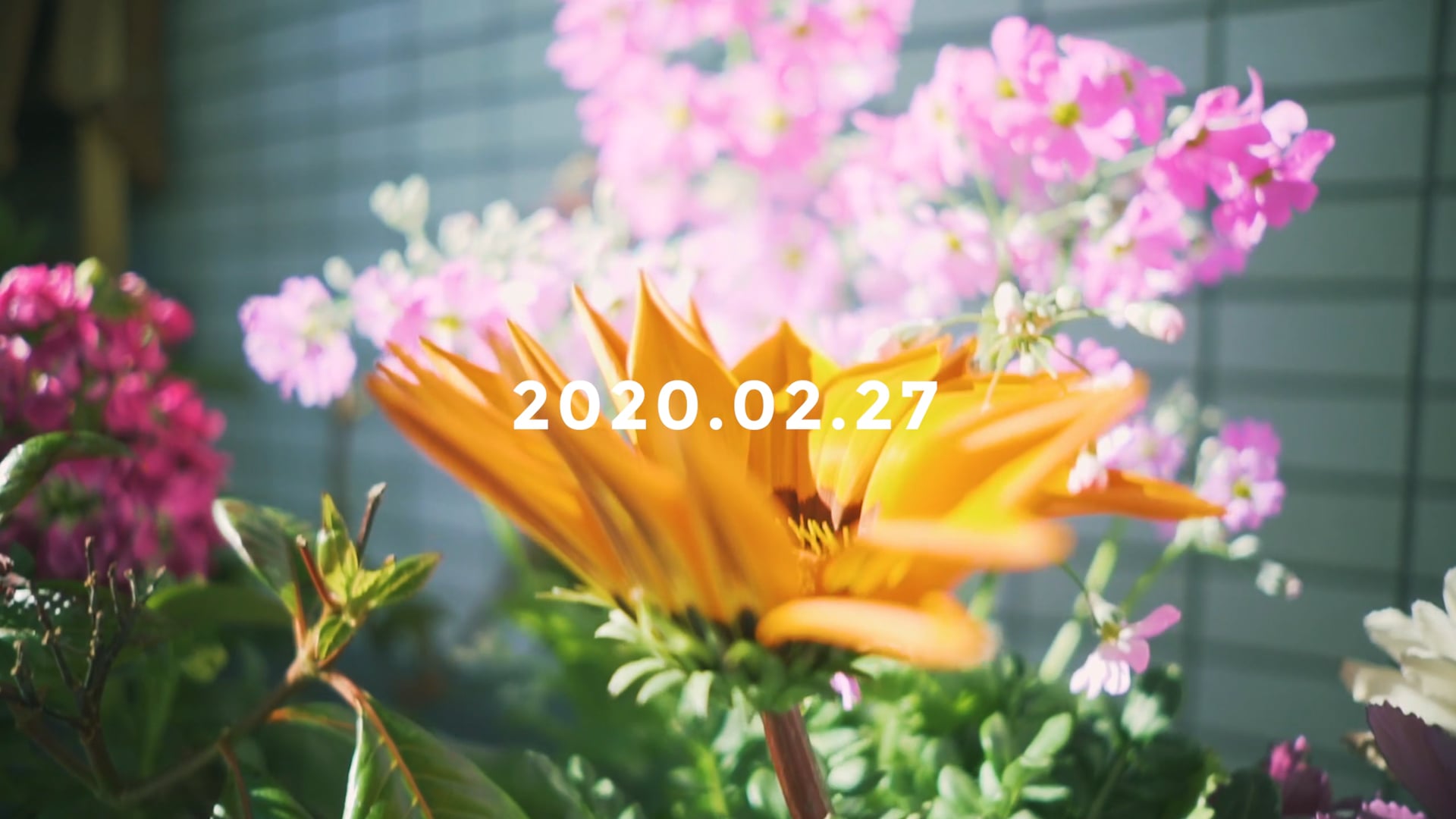 20200227