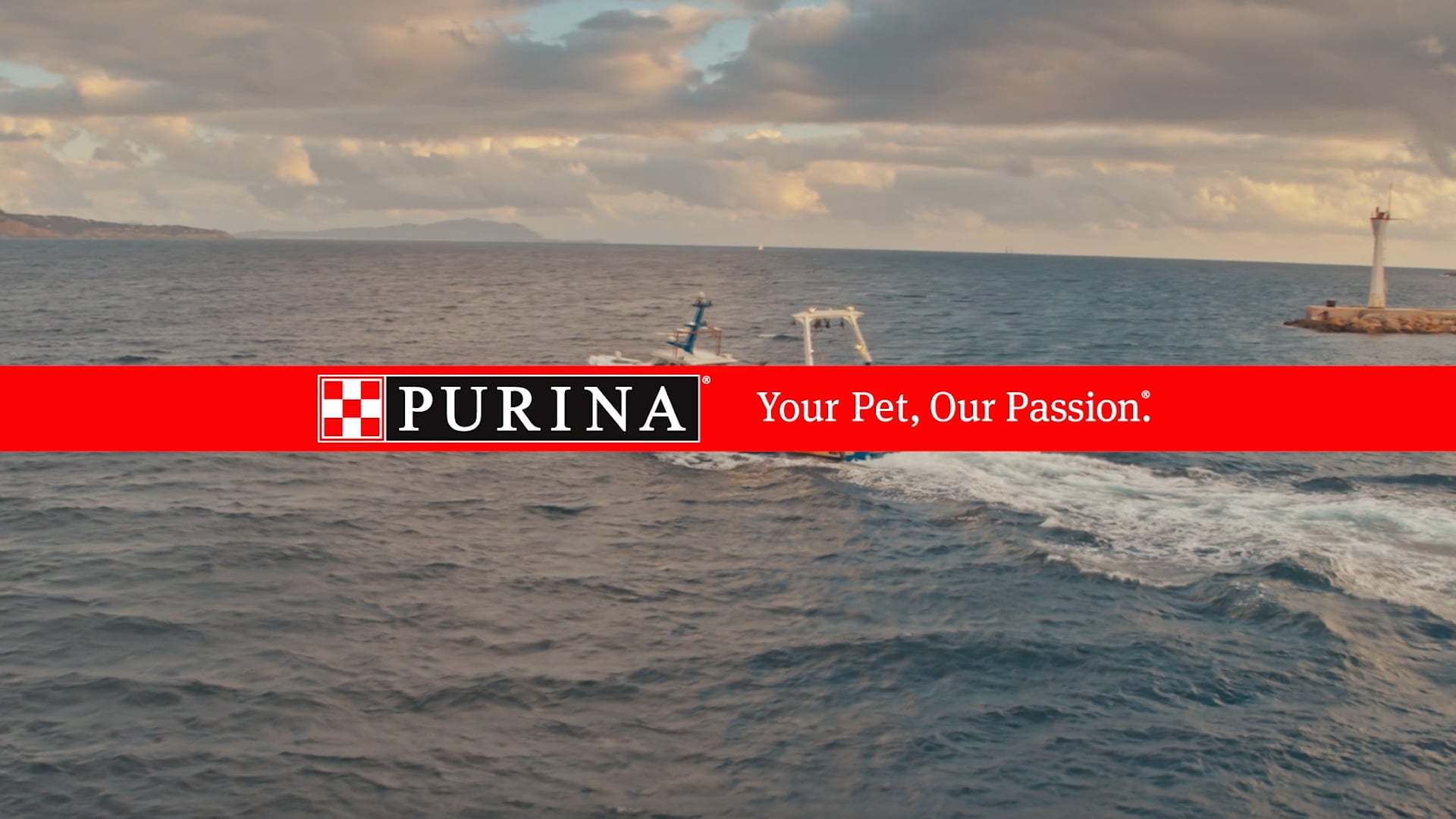 More of What Matters - Purina Global Campaign