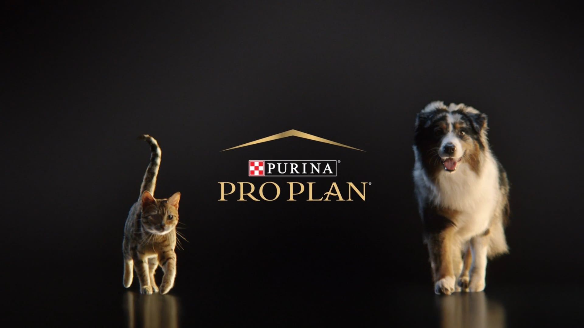 Pro Plan Mega Brand - Purina
