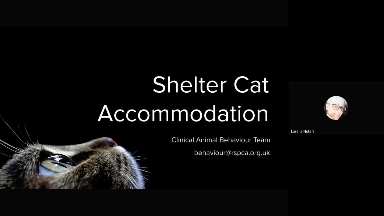 PART 2. November 2022. Monthly cpd _Cat behaviour problems in our catteries and cat adoption (2022-11-30 14_29 GMT).mp4 - Kim Hope