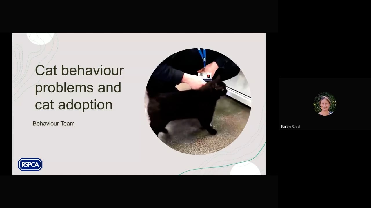 PART 1. November 2022 Monthly cpd _Cat behaviour problems in our catteries and cat adoption (2022-11-30 14_04 GMT).mp4 - Lorella Notari