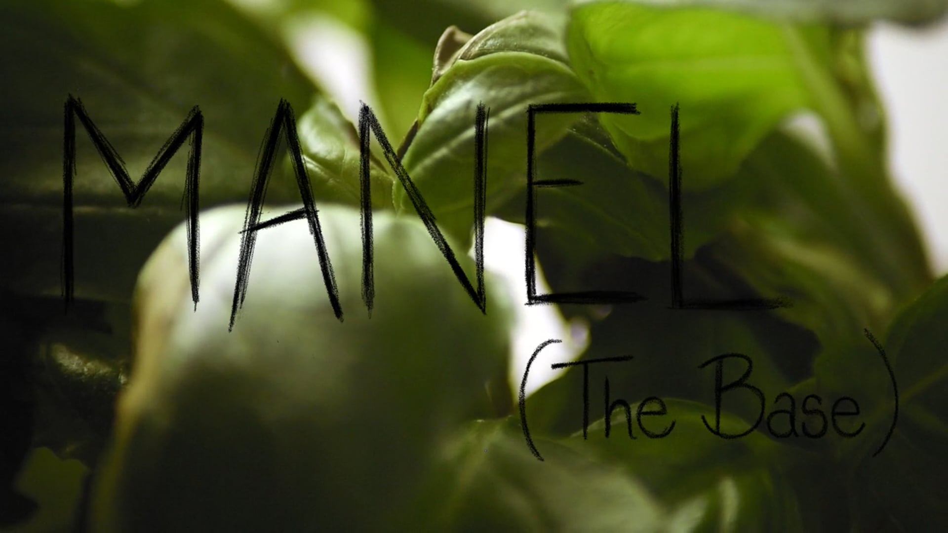 YLGIW - episode 1- Manuel