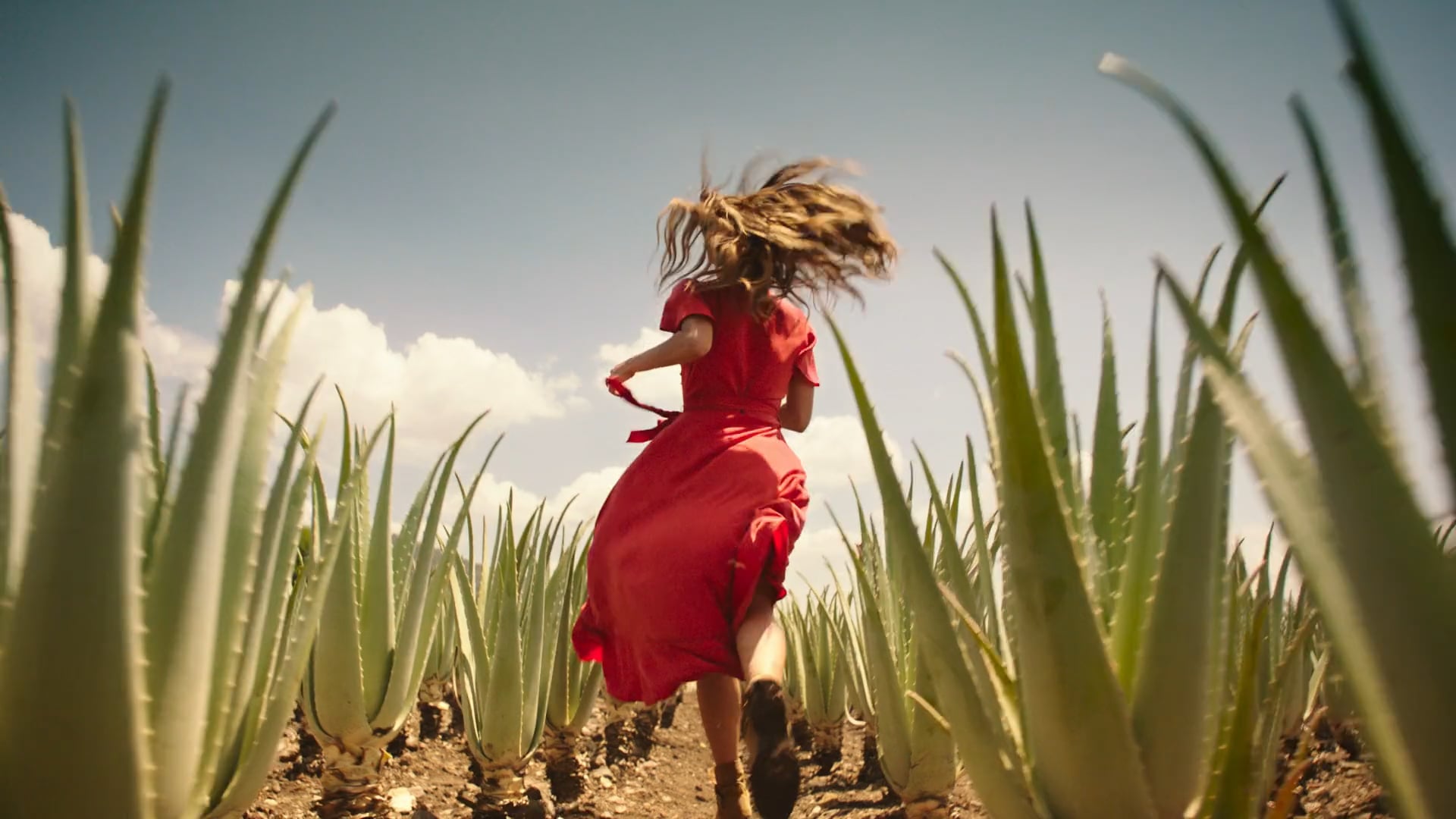 Herbal Essences "Flower Bomb" on Vimeo