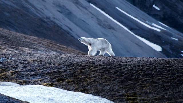 Iceland & Norway's Arctic Explorer