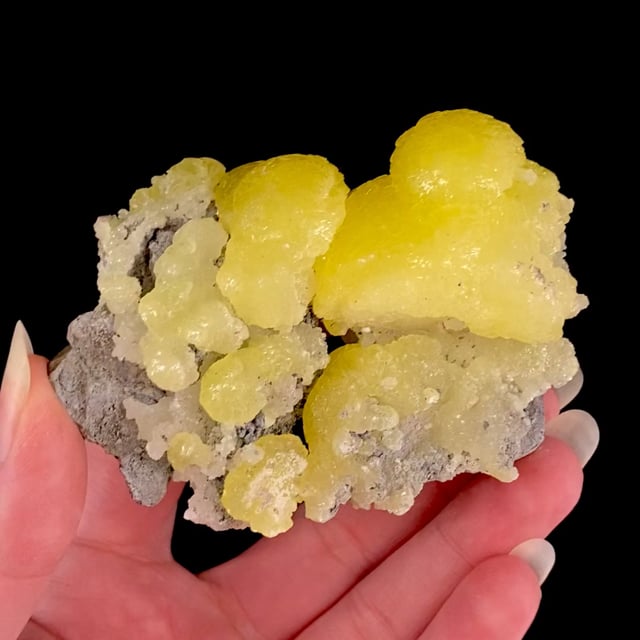 Brucite (excellent color and quality)