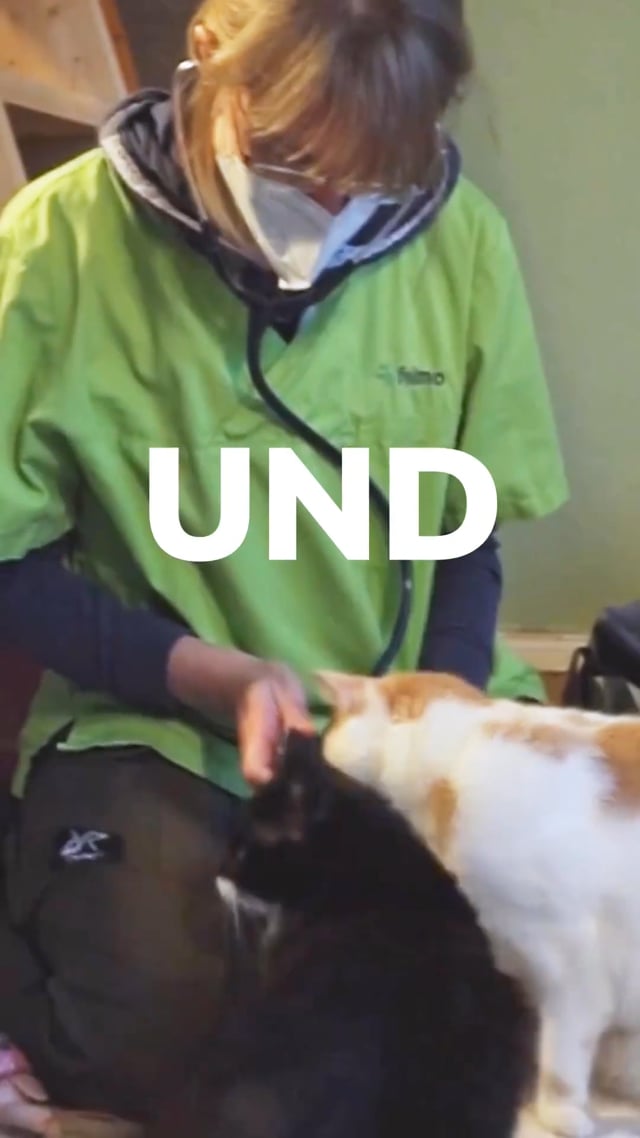 Video thumb