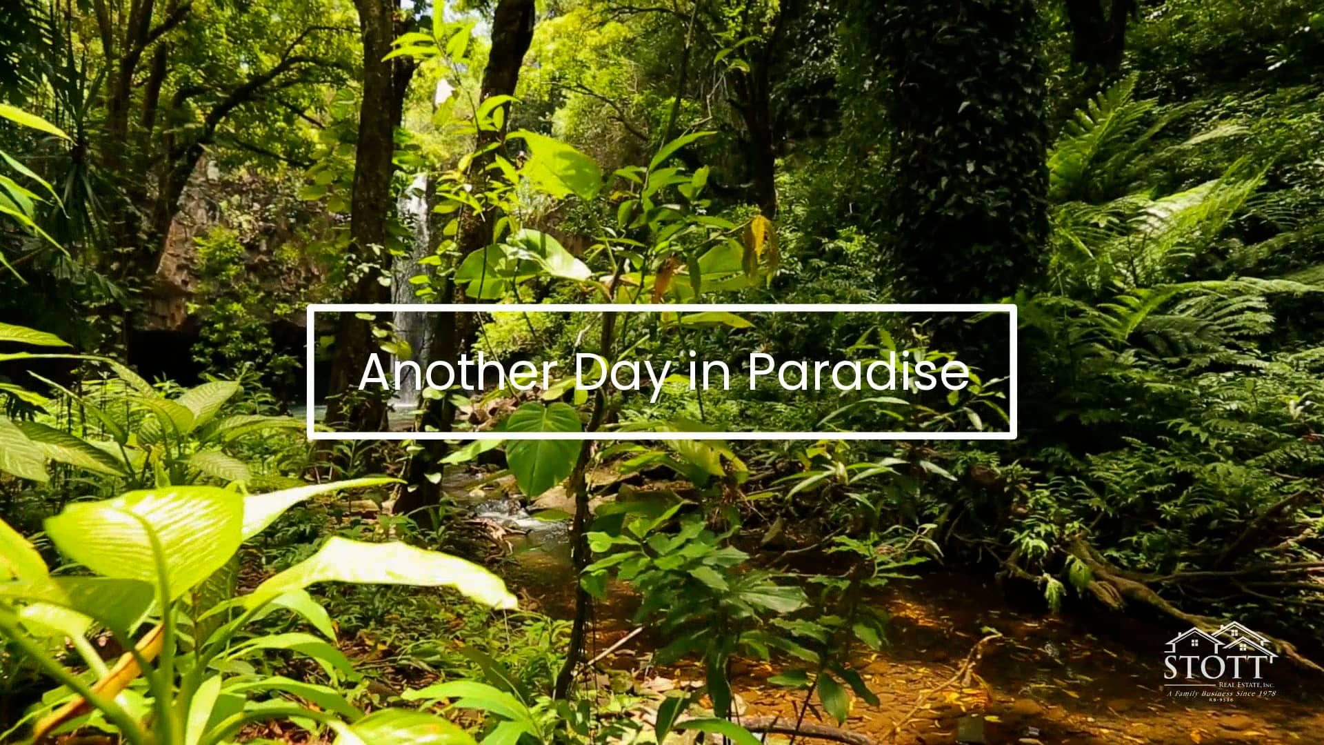 Another Day in Paradise Waterfalls Stott Real Estate, Inc. on Vimeo