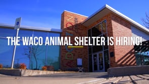 The Waco Animal Shelter is Hiring PSA