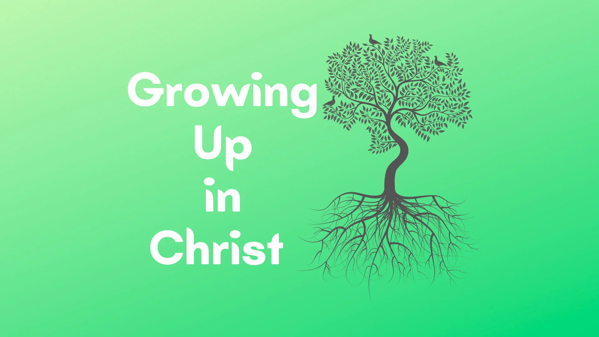 Growing Up in Christ: Come and See on Vimeo