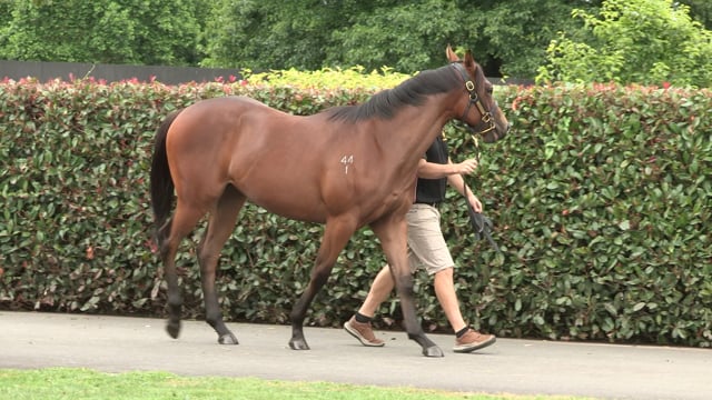 Lot 76