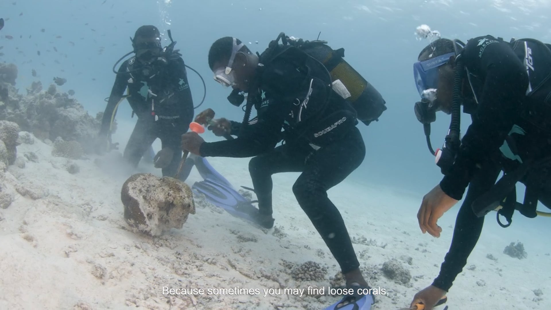 Mnemba Coral Restoration Project.mp4