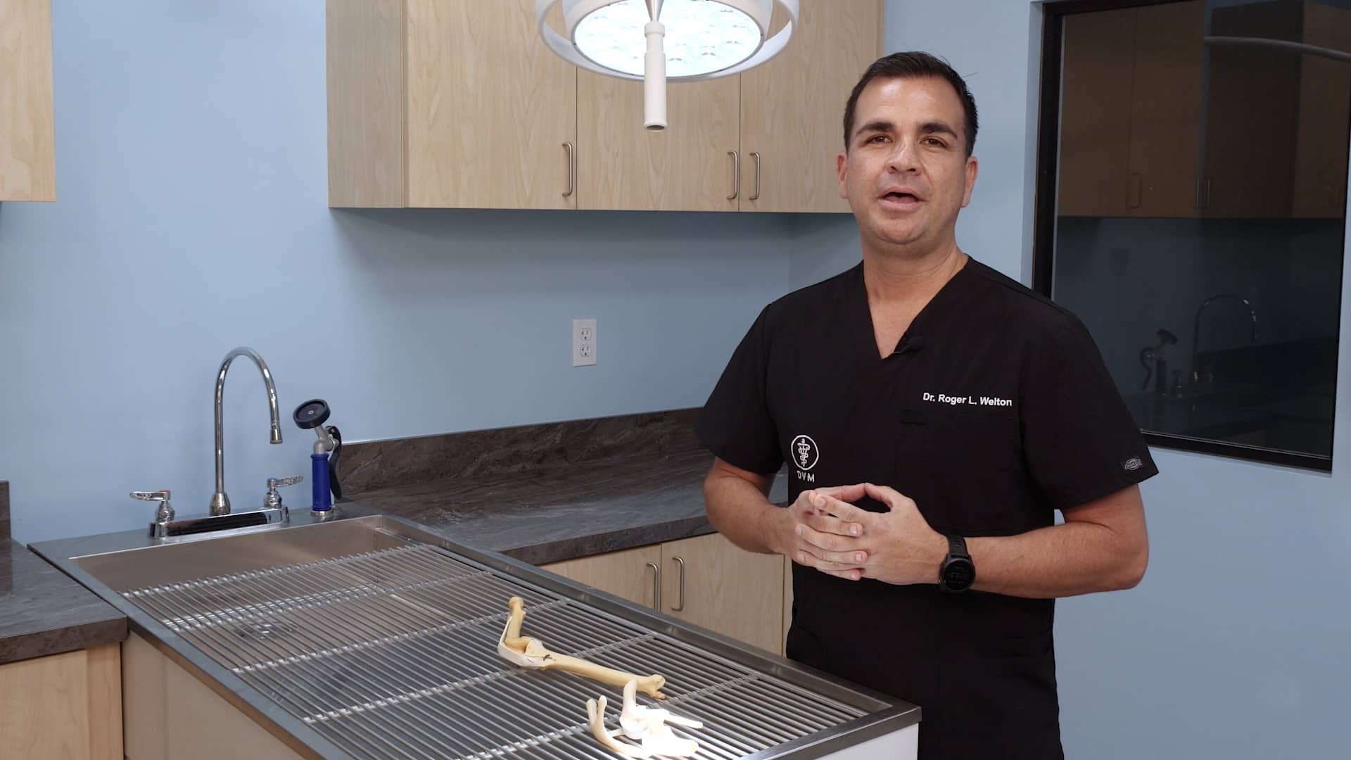 ROGER WELTON MODIFIED MAQUET PROCEDURE SURGICAL REPAIR OF CCL TEAR