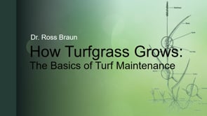 How Turf Grows - Part 1
