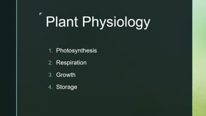 How Turf Grows - Part 3