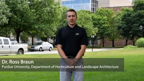 Fine Fescue Establishment and Maintenance