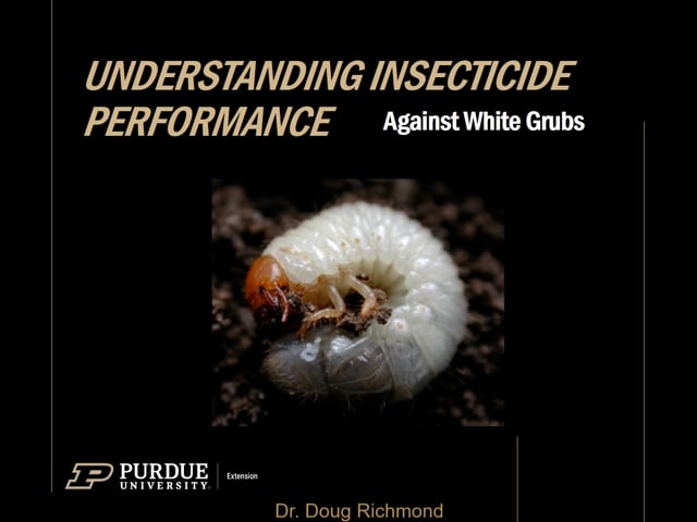 Understanding Insecticide Performance