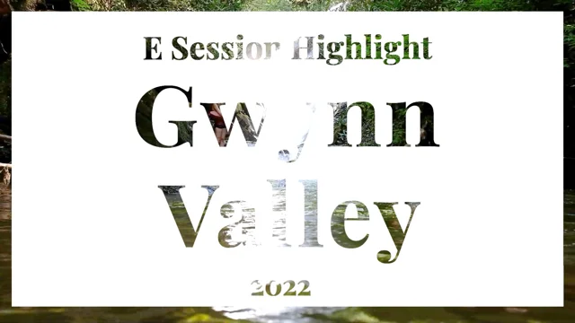 Another Wonderful Summer at Gwynn Valley - Gwynn Valley