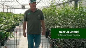 Brite Leaf - New Citrus Root System